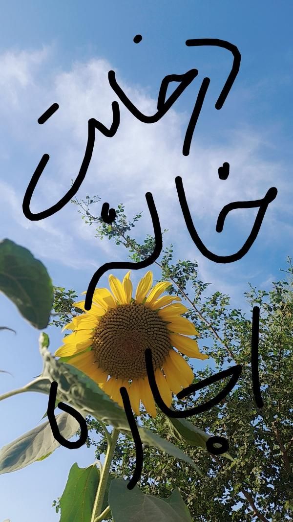 اجاره خانه ویلایی ۱۰۰۰ متری ۲ خوابه|اجارهٔ خانه و ویلا|مسجد سلیمان, |دیوار