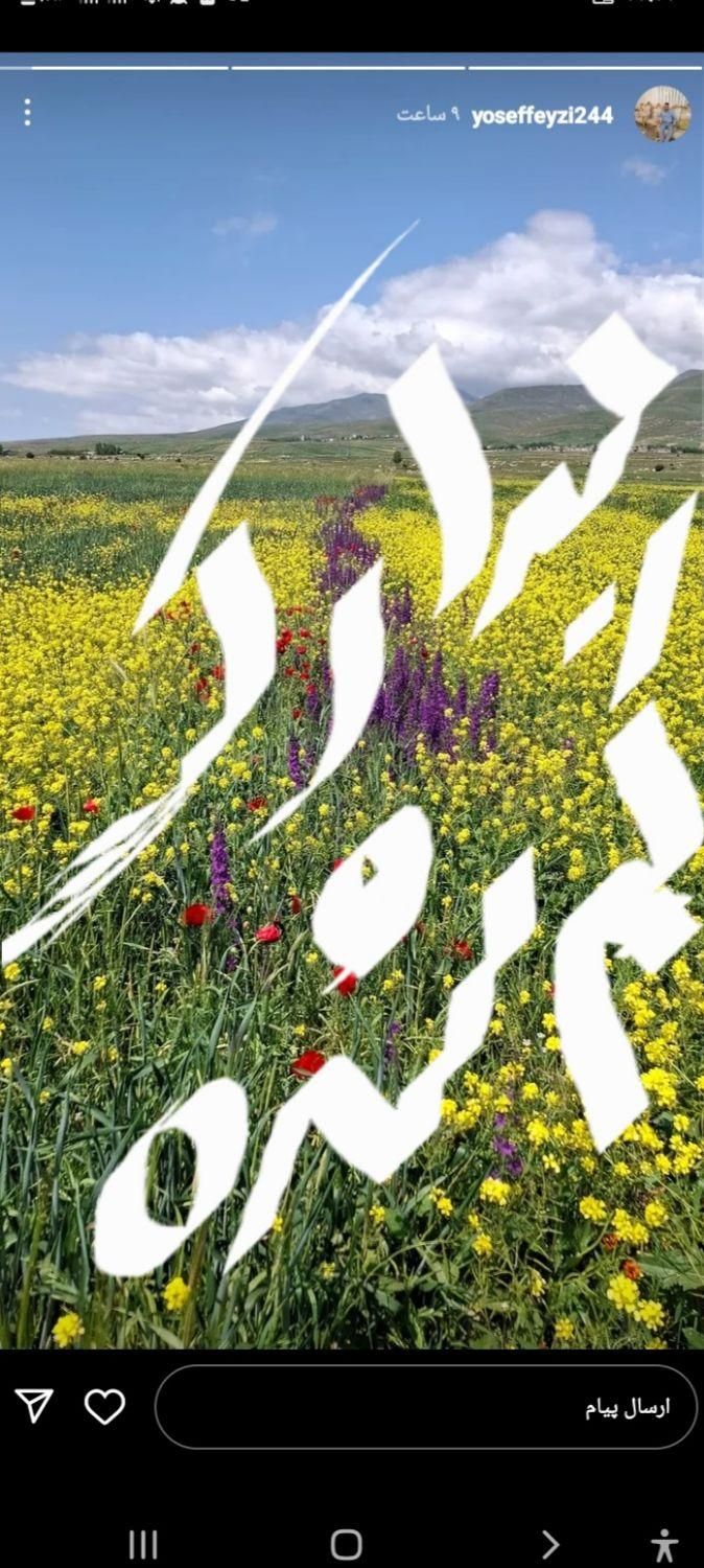 کیف مدارک حاوی گواهینامه کارت موتور بیمه نامه|اشیا|گلستان (تهران), |دیوار