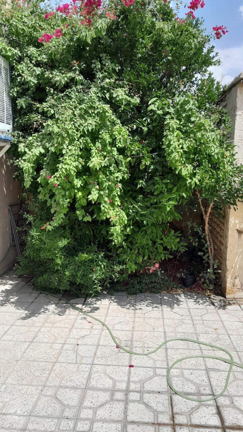 فروش خانه ویلایی ۲۰۰ متری ۳ خوابه در بهارستان|فروش خانه و ویلا|شیراز, بهارستان|دیوار