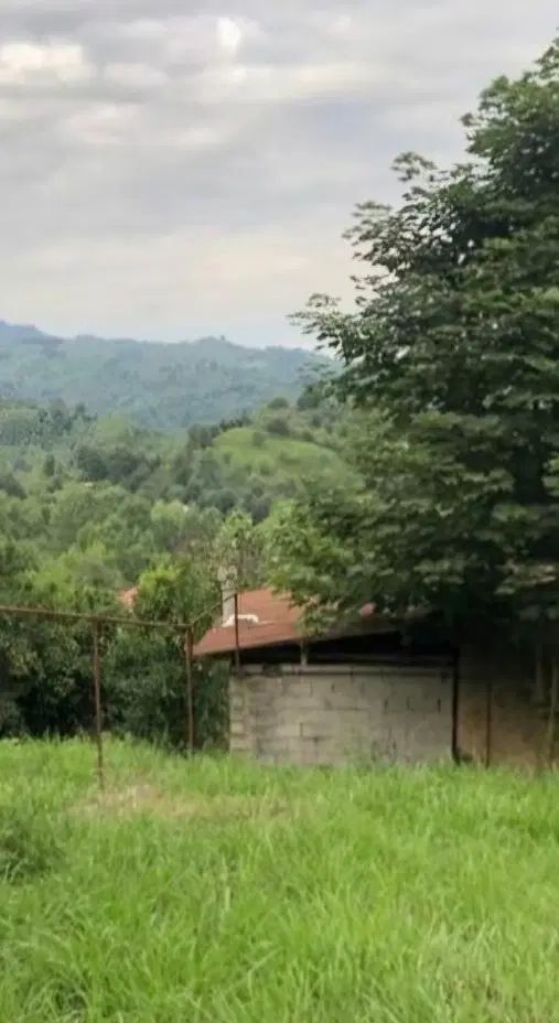 لاهیجان۱۵۰۰۰مترزمین مسکونی روستای توریستی ویوجنگل|فروش زمین و ملک کلنگی|لاهیجان, آهندان|دیوار