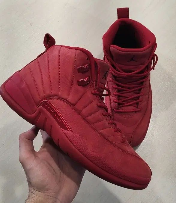 jordan 12|کیف، کفش، کمربند|تهران, دزاشیب|دیوار