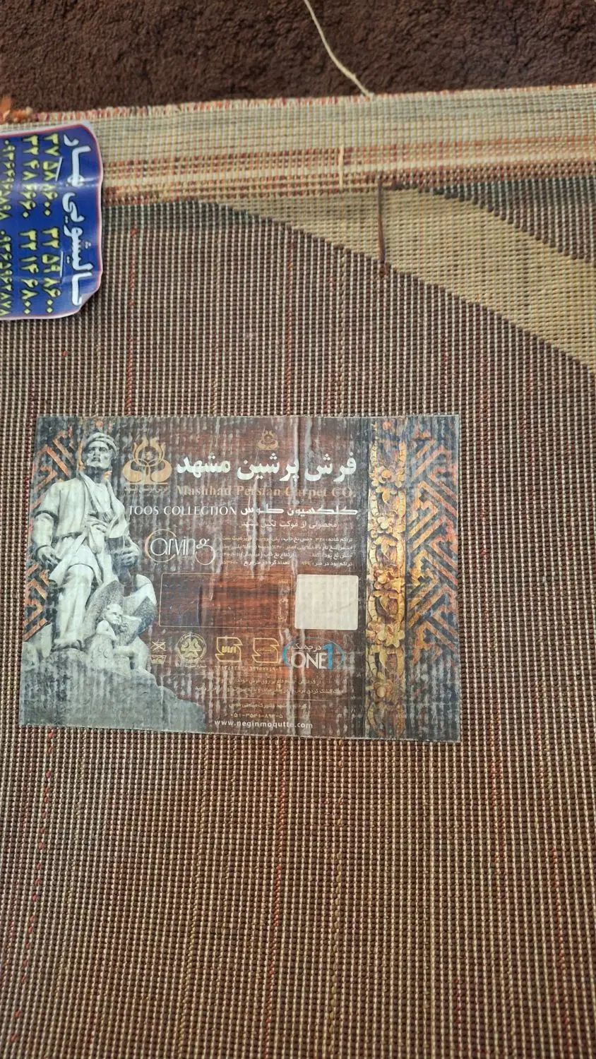 فرش و قالیچه|فرش|مشهد, مصلی (کارمندان اول)|دیوار