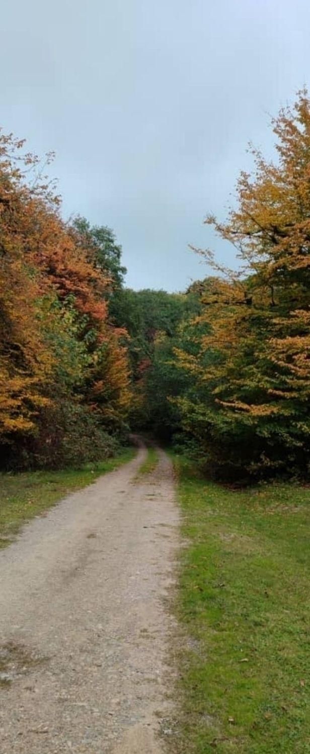 اجاره ویلا در جنگل بکر الندان|اجارهٔ کوتاهمدت ویلا و باغ|کیاسر, |دیوار