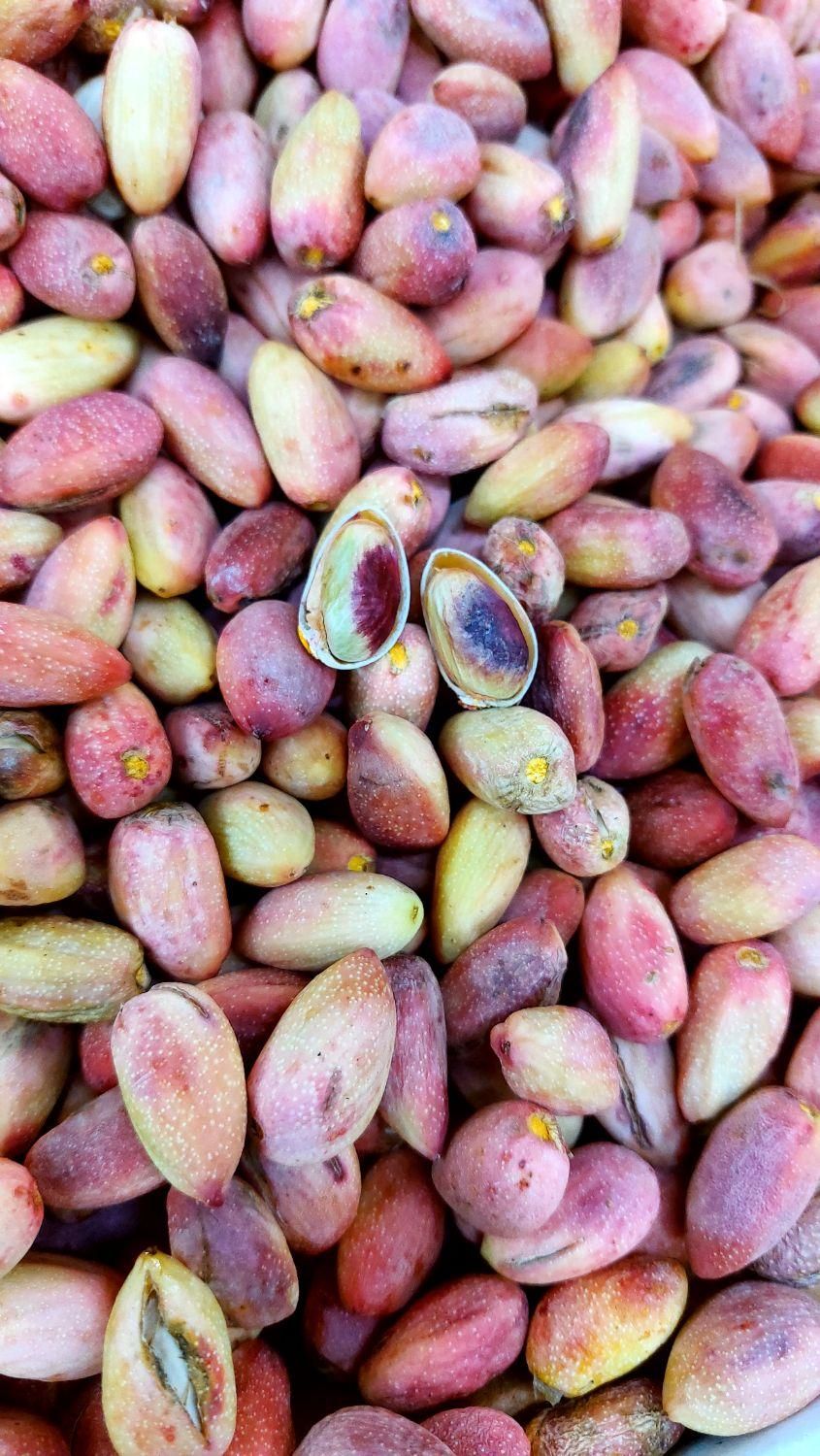 پسته تازه درجه یک + هایپر میوه گلچین|خوردنی و آشامیدنی|شاهدشهر, |دیوار