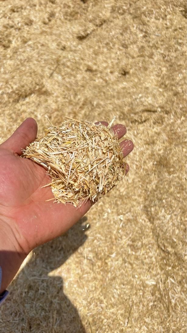 کاه کاهکوب گندم تمیز|عمده‌فروشی|چناران, |دیوار
