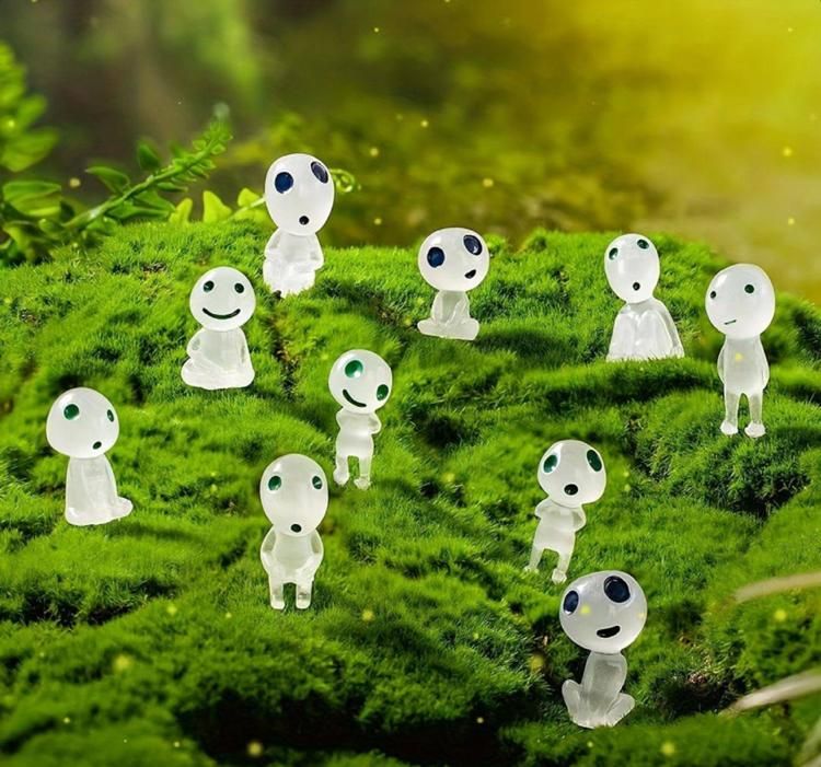 ارواح شب نما(شب تاب)|اسباببازی|مشهد, گلبرگ|دیوار