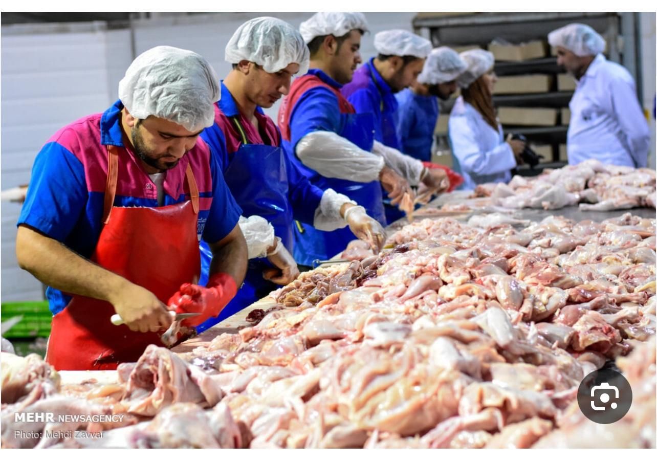 مرغ خورد کردن قطعه بندی کار باچاقو (فقط اقا)|استخدام صنعتی، فنی، مهندسی|رفسنجان, |دیوار