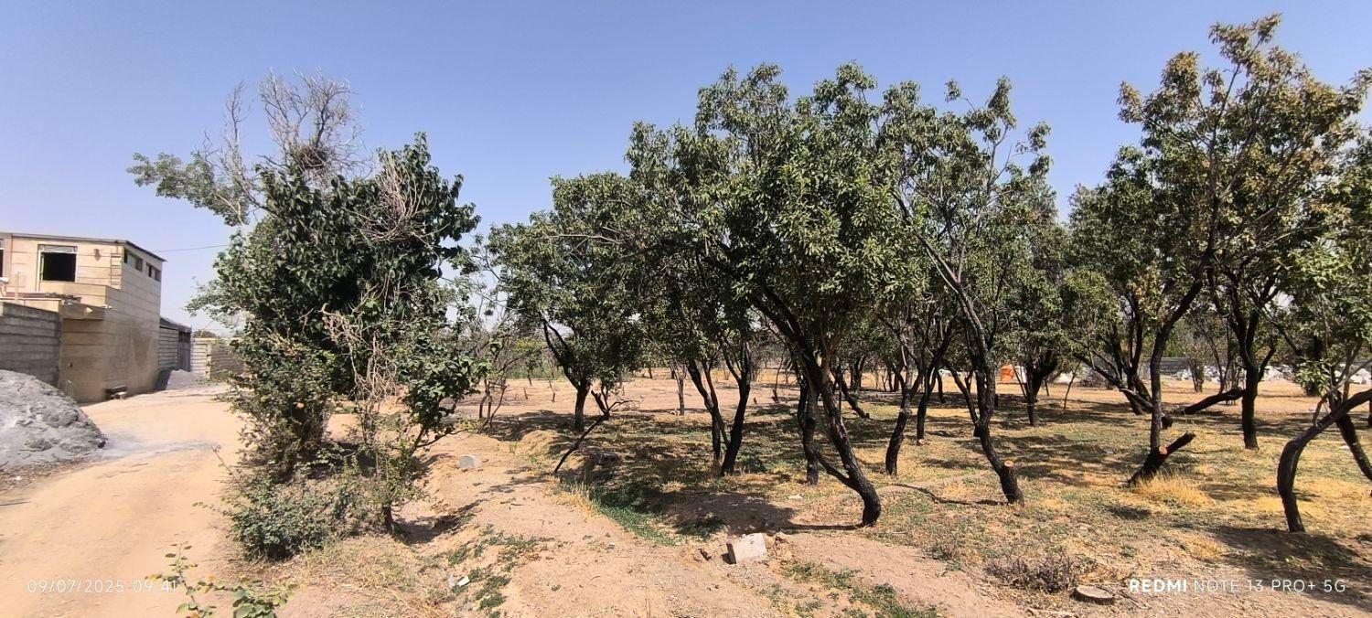 فروش زمین بوستان زندگی شرقی قابل تقسیم به دو پلاک|فروش زمین و ملک کلنگی|نجف‌آباد, دفاع مقدس|دیوار