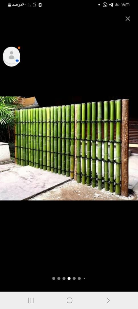 چوب سندبلاست شده|مصالح و تجهیزات ساختمان|رشت, نامجو|دیوار