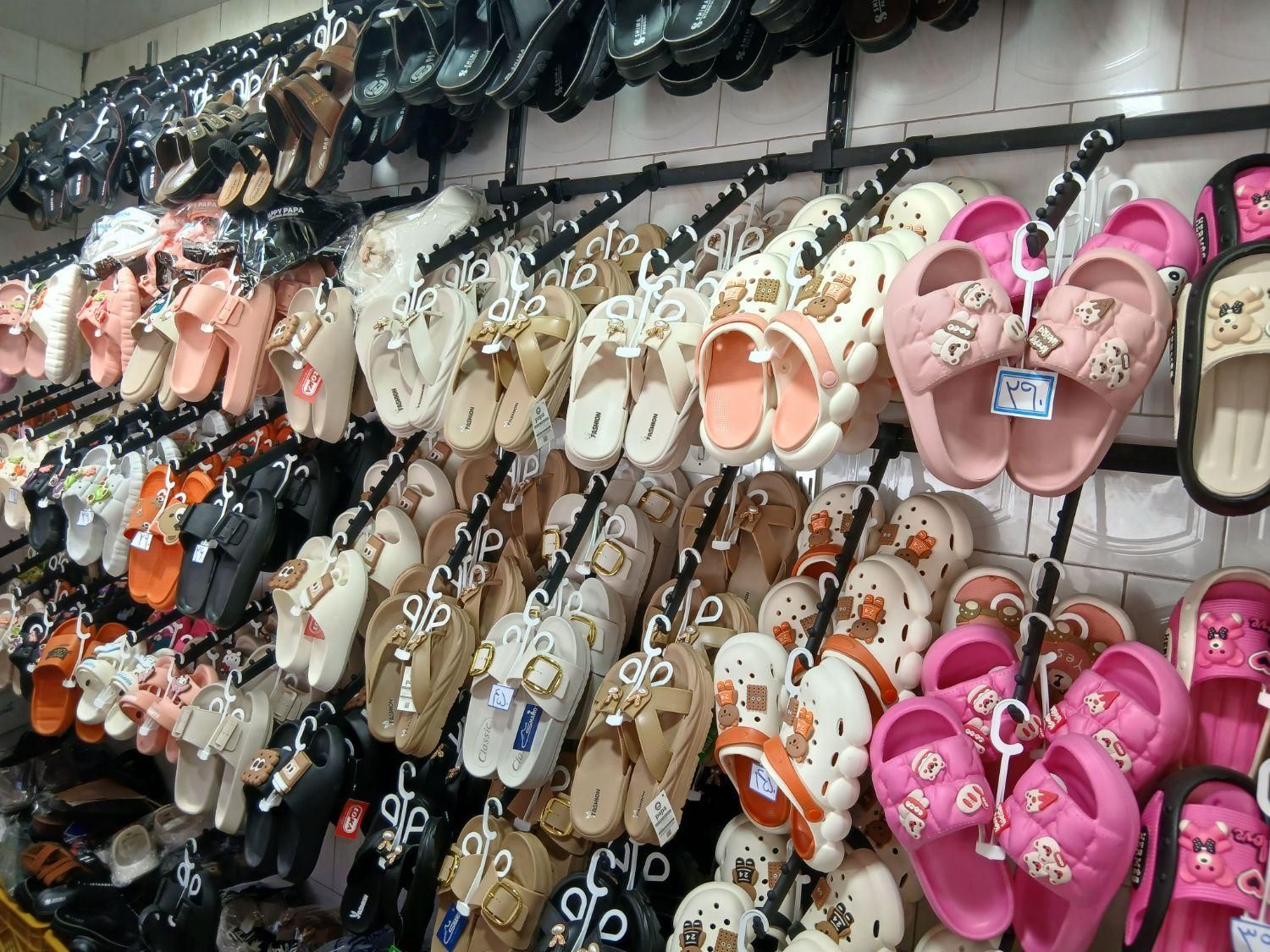 صندل|کیف، کفش، کمربند|تبریز, |دیوار