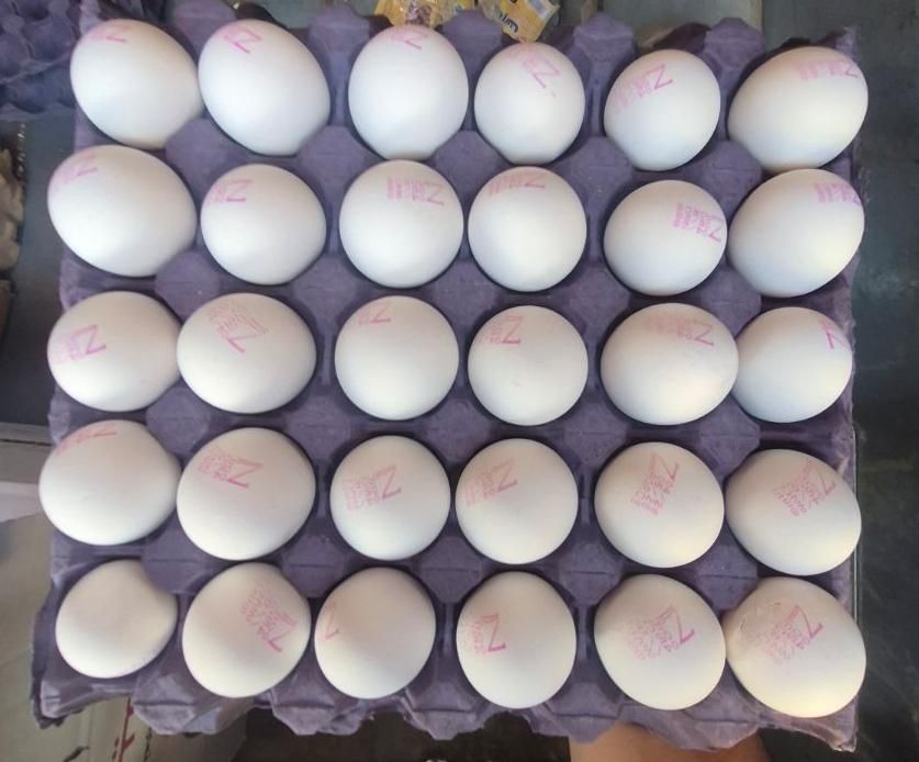 تخم مرغ فله ای و بسته بندی|خوردنی و آشامیدنی|شیراز, شریف‌آباد|دیوار