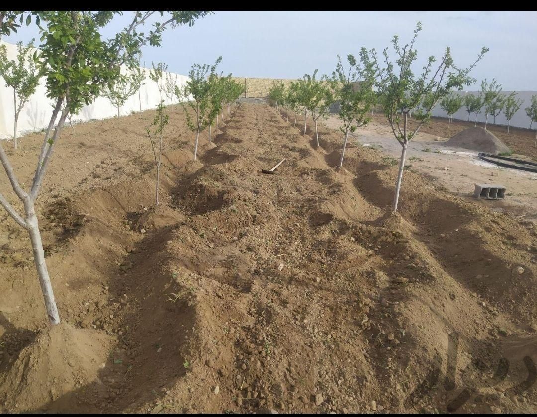 باغبانی سمپاشی گل کاری علف کشی سم پاشی تمام نقاط|خدمات باغبانی و درختکاری|مشهد, توس (بلوار توس)|دیوار