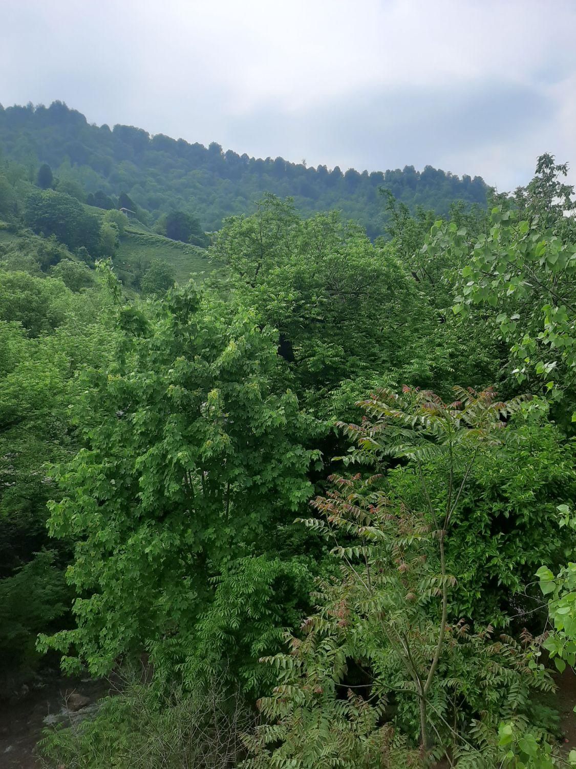 اجاره ویلاکنار رودخانه درقلعه رودخان|اجارهٔ کوتاهمدت ویلا و باغ|رشت, حسین آباد|دیوار