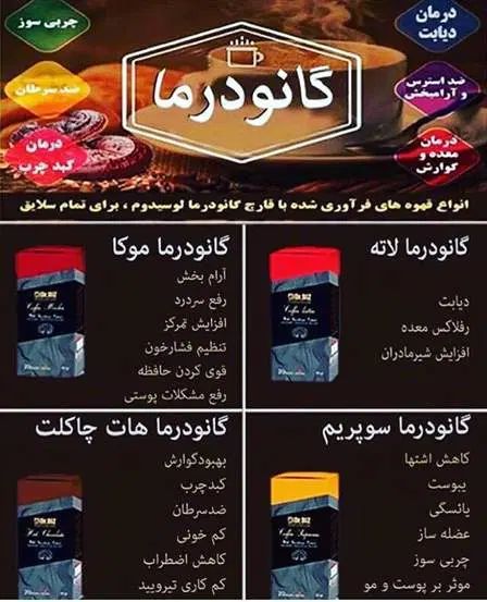 قهوه های دکتر بیز با عصاره قارچ گانودرما|خوردنی و آشامیدنی|مشهد, دانشجو|دیوار