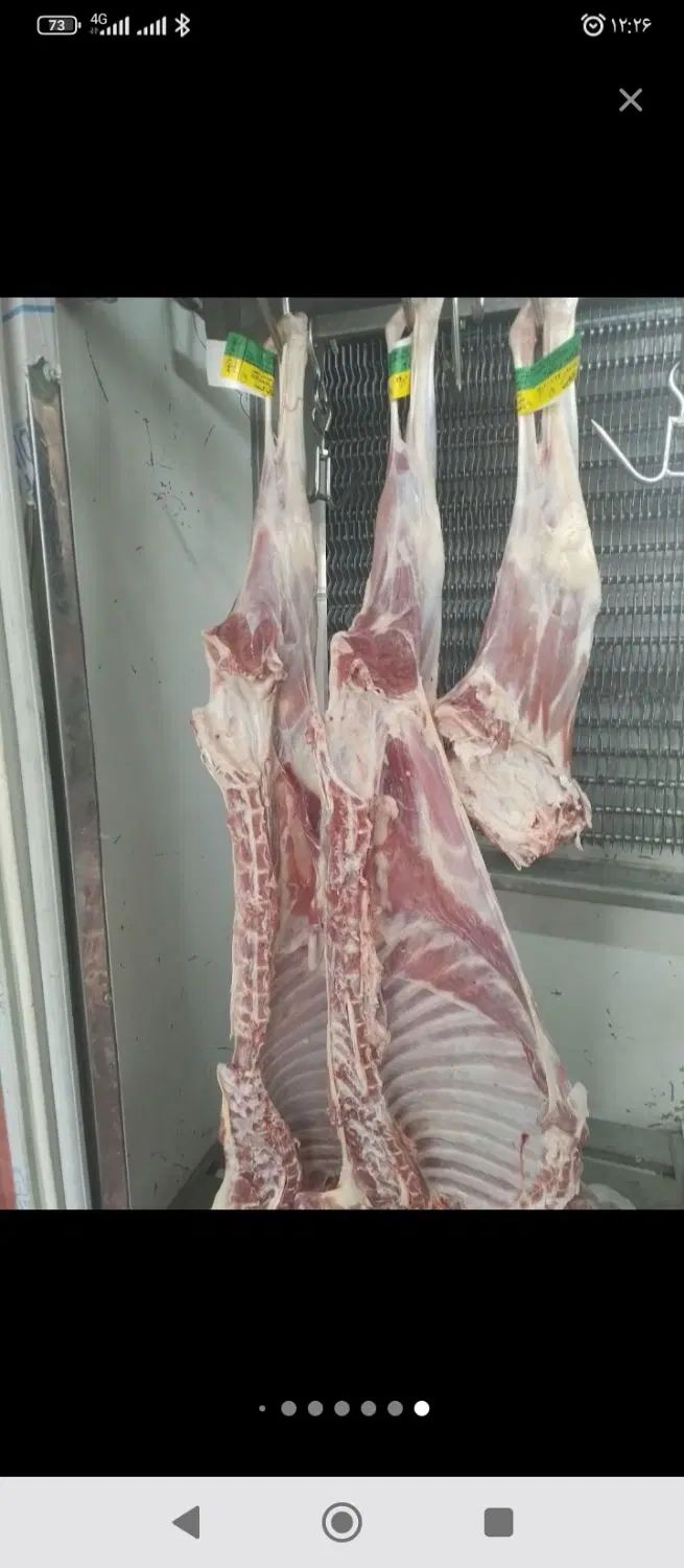 گوشت گوساله و گوسفند لاشه وتیکه ای و چرخ کرده|خوردنی و آشامیدنی|اصفهان, عسگریه|دیوار