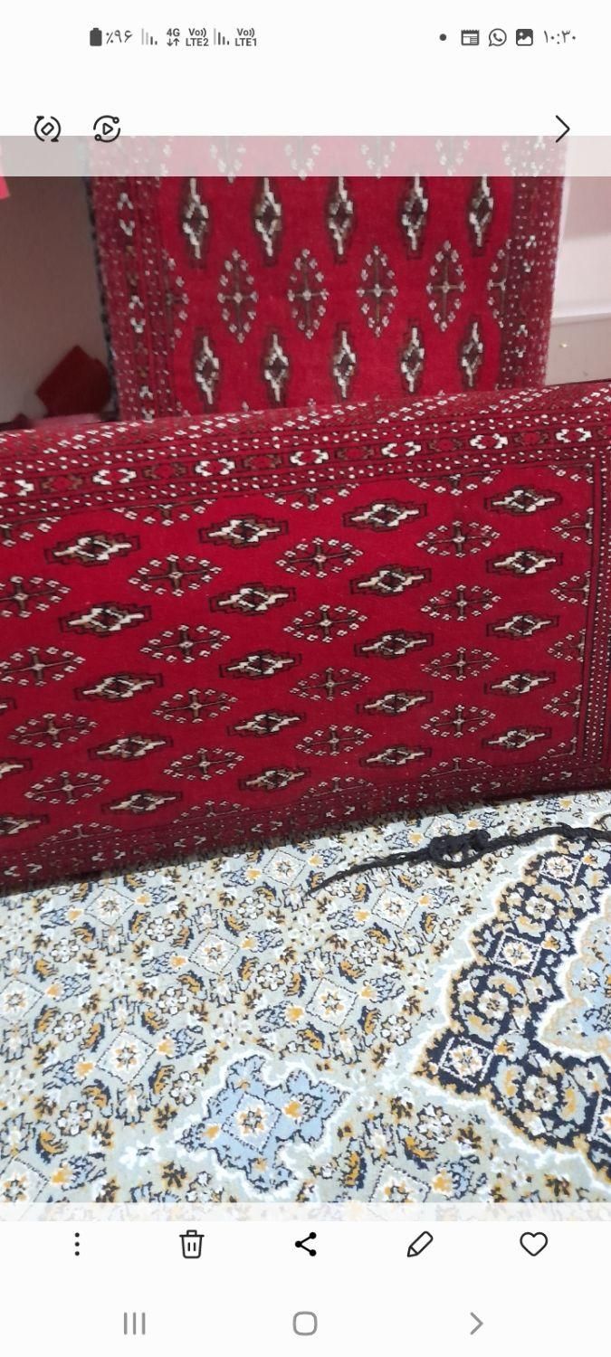 قالی وپشتی دستباف|فرش|صدرا-فارس, فاز ۱|دیوار