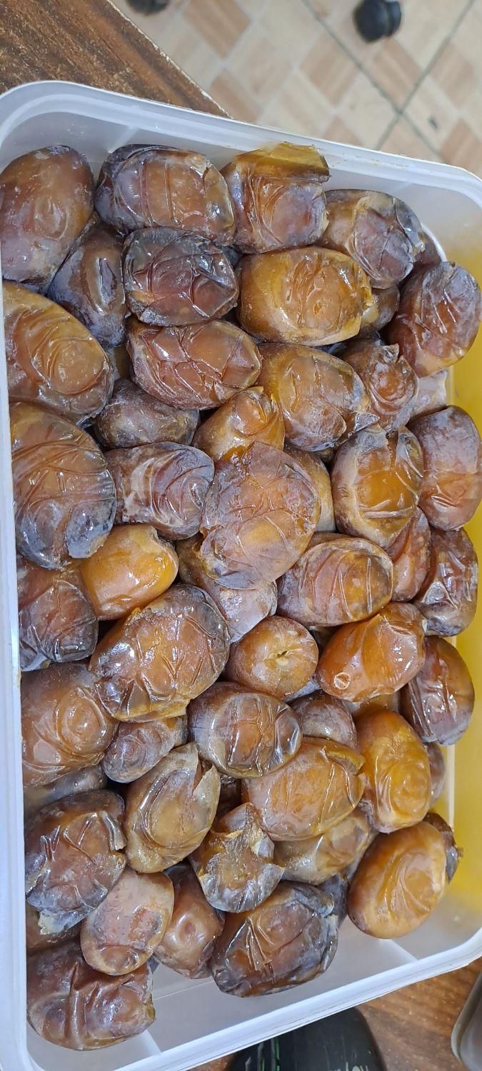 خرمای عسلی خشت درجه یک تازه و نرم|خوردنی و آشامیدنی|قم, وادی السلام|دیوار