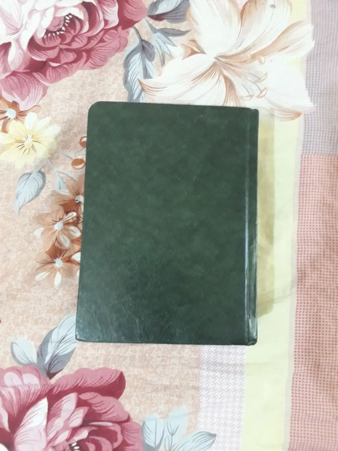 کتاب رمان دلشاد خاتون و زیبای مخوف ، صحافی شده|کتاب و مجله ادبی|تهران, فردوسی|دیوار
