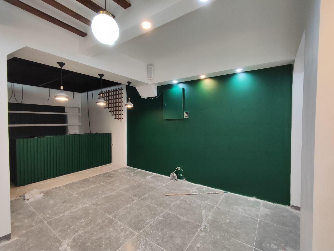 نقاشـی ساختمان-کنـاف و لاین-کنیتکـس-بازسـازی کامل|خدمات پیشه و مهارت|تهران, استاد معین|دیوار