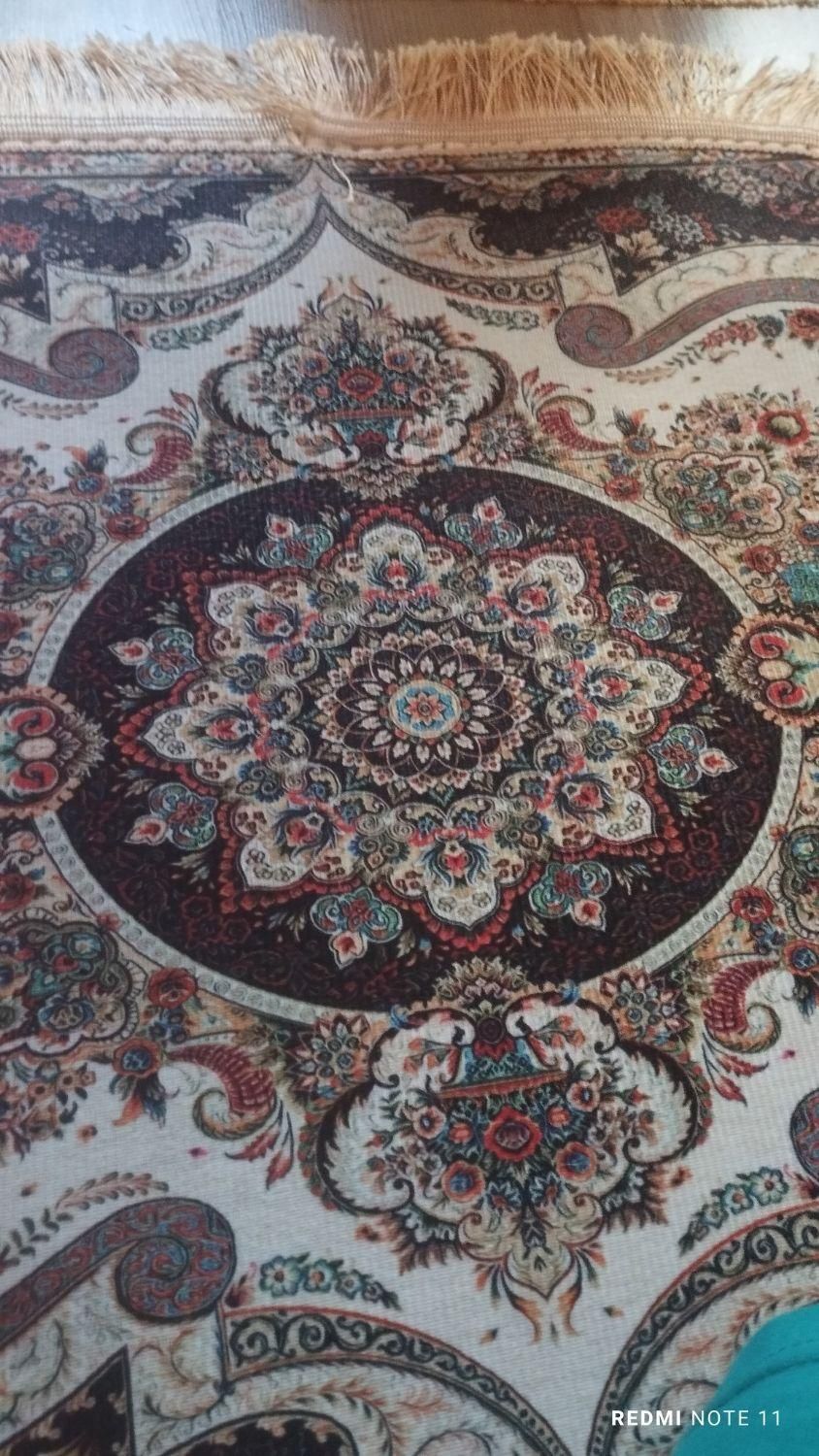 یک جفت پادری نو بیضی شکل|پادری|تبریز, |دیوار