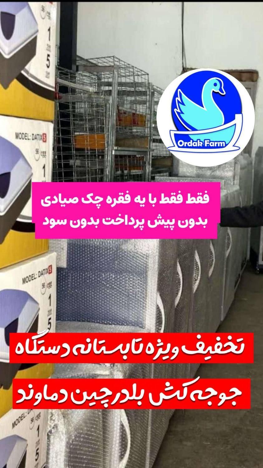 نماینده فروش دستگاه جوجه کشی  رشت تخفیف تابستانه|لوازم جانبی حیوانات|سنگر, |دیوار