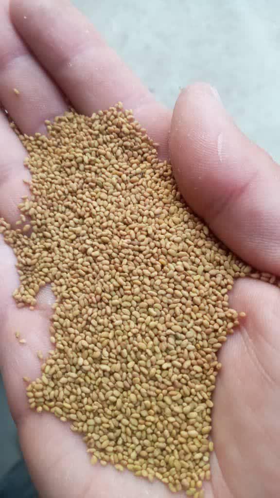 کیمیا بذر صدرا|خدمات باغبانی و درختکاری|کرمانشاه, |دیوار