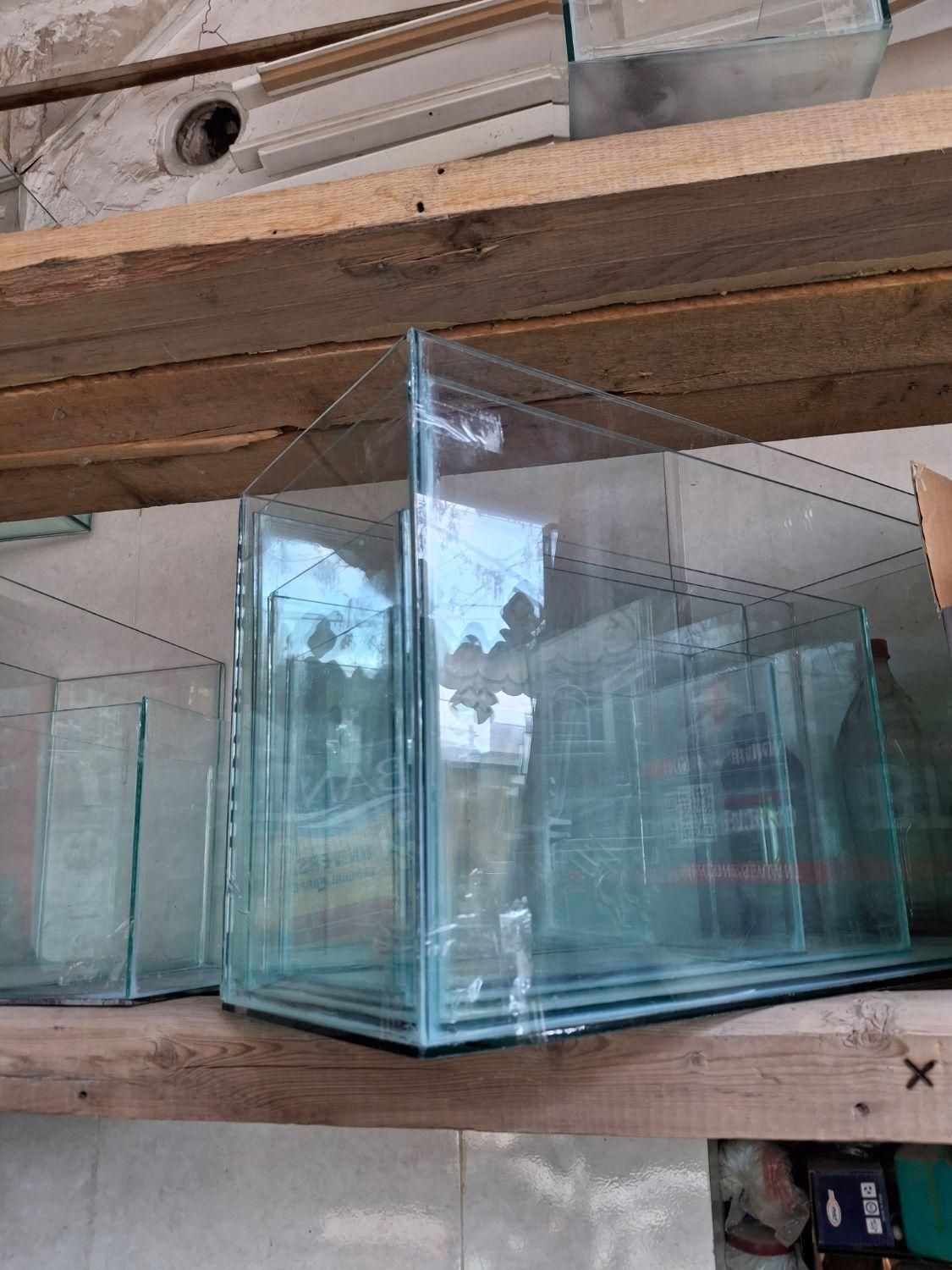 تولیدی آکواریوم زیر قیمت|ماهی|مشهد, شهید آوینی|دیوار