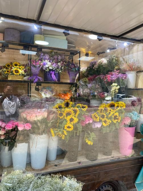 جشنواره رزطبیعی فقط شاخه ای ۳۵هزارانواع گلهاطبیعی|گل و گیاه طبیعی|کرج, فاز ۱ مهرشهر|دیوار