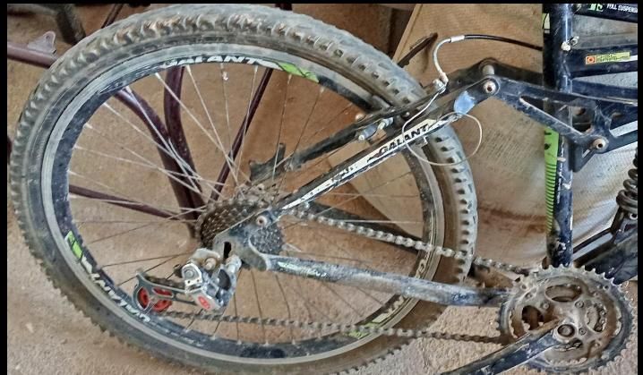 دوچرخه|دوچرخه، اسکیت، اسکوتر|خانمیرزا, |دیوار