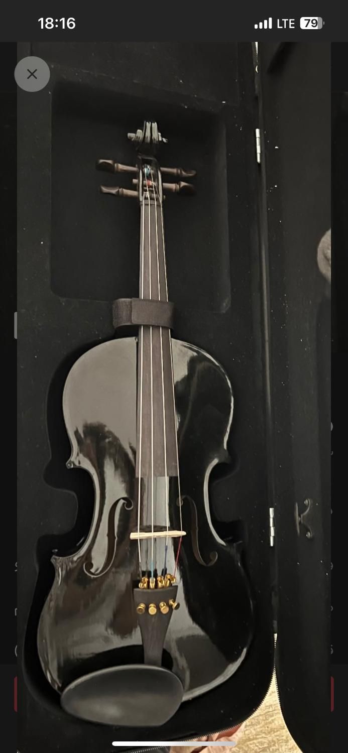 ویالن رنگ مشکی|ویولن|تهران, سازمان آب|دیوار