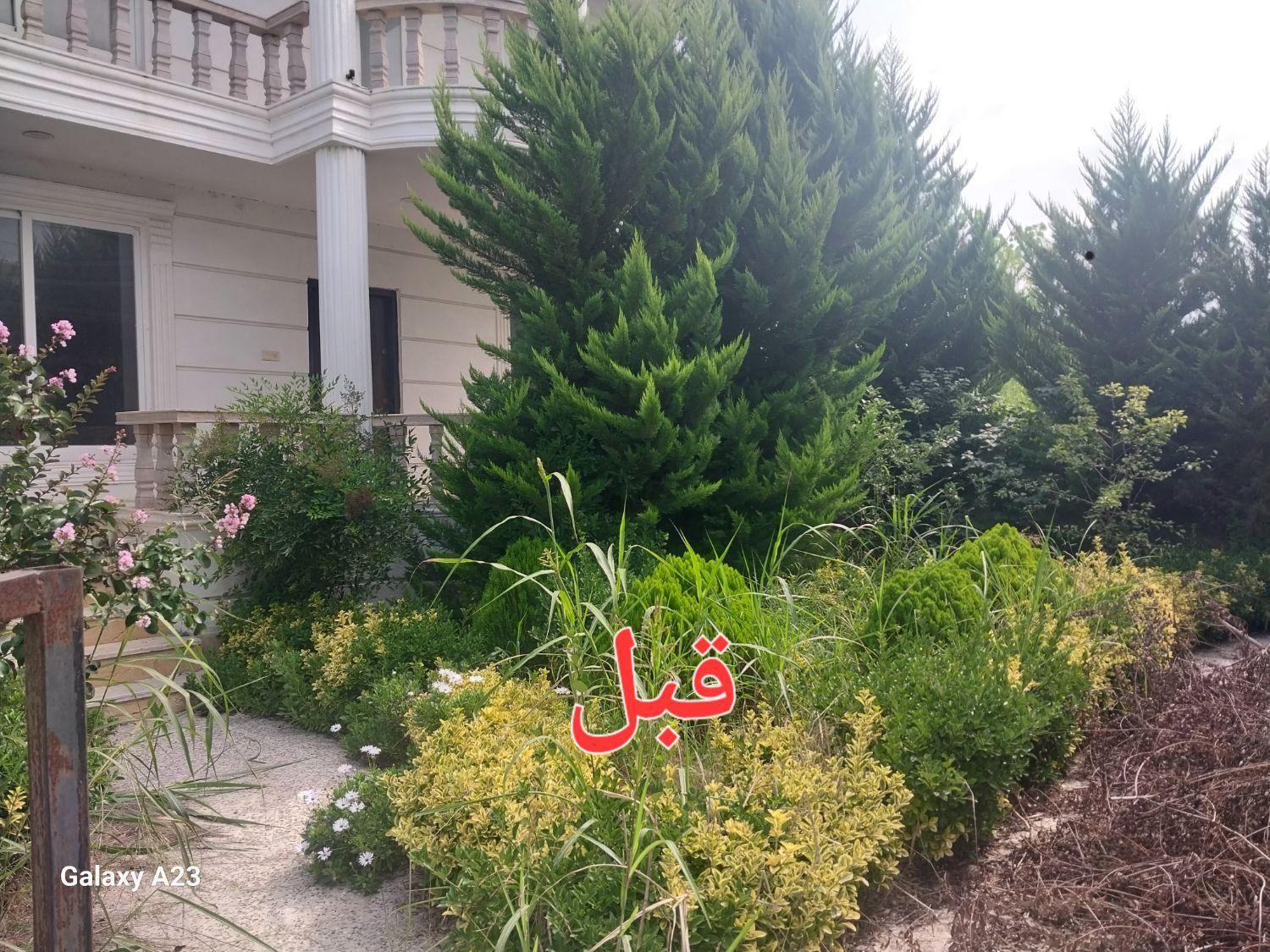 خدمات علف زنی بادستگاه علف زن در زیباکنار و رشت|خدمات باغبانی و درختکاری|رشت, گلسار|دیوار