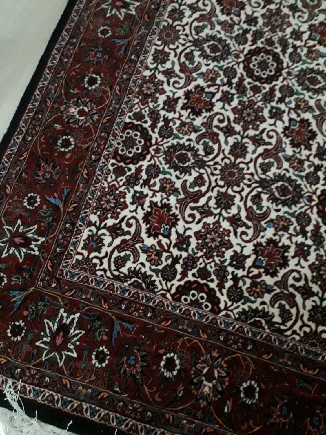 فرش دستباف بیجار|فرش|تهران, جمهوری|دیوار