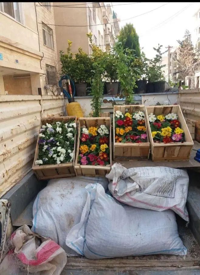 باغبانی و سم پاشی و حرس کردن|خدمات باغبانی و درختکاری|مشهد, وکیل‌آباد|دیوار