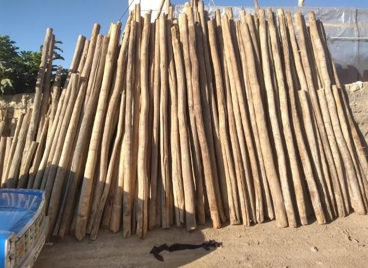 خریدار چوب سقفی|خدمات باغبانی و درختکاری|نیشابور, شهید بهشتی|دیوار