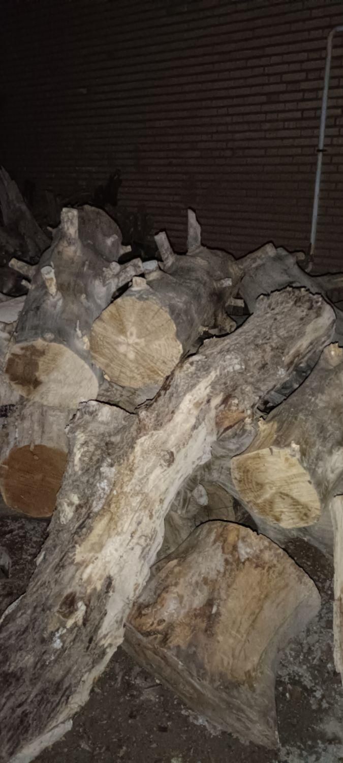 خریدار چوب باغی|خدمات باغبانی و درختکاری|بیرجند, |دیوار