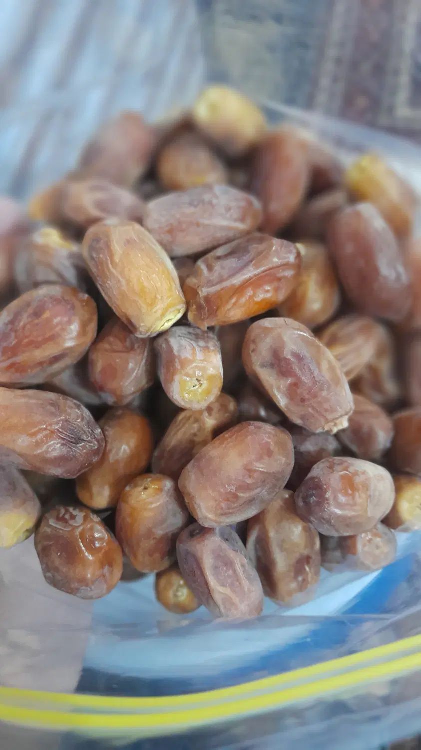 خرید و فروش خرما خاصویی.زاهدی.کشتی|خوردنی و آشامیدنی|مشهد, هفده شهریور|دیوار