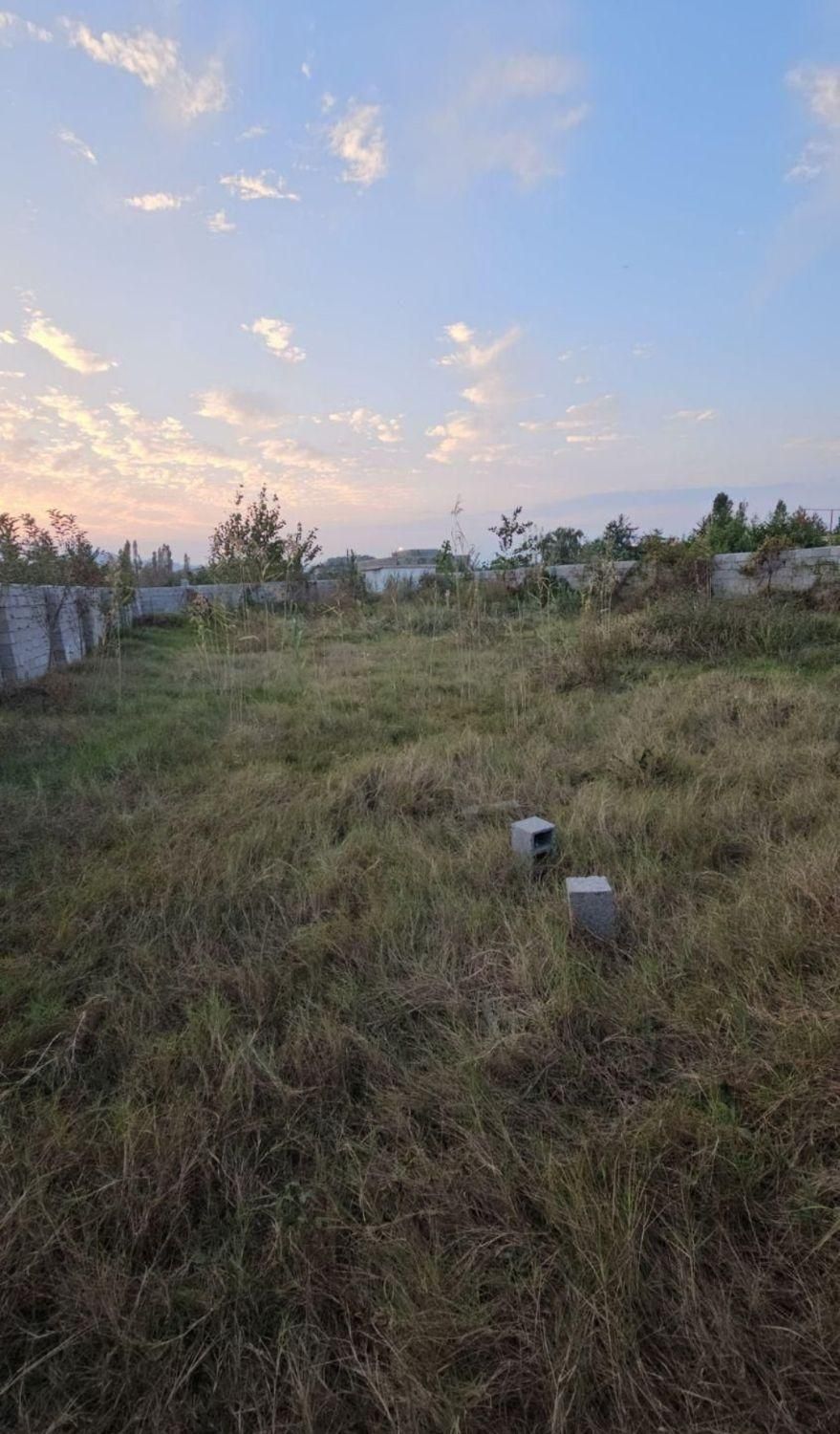 فروش زمین کنار دریا آستارا تک برگ قیمت مناسب|فروش زمین و ملک کلنگی|آستارا, |دیوار