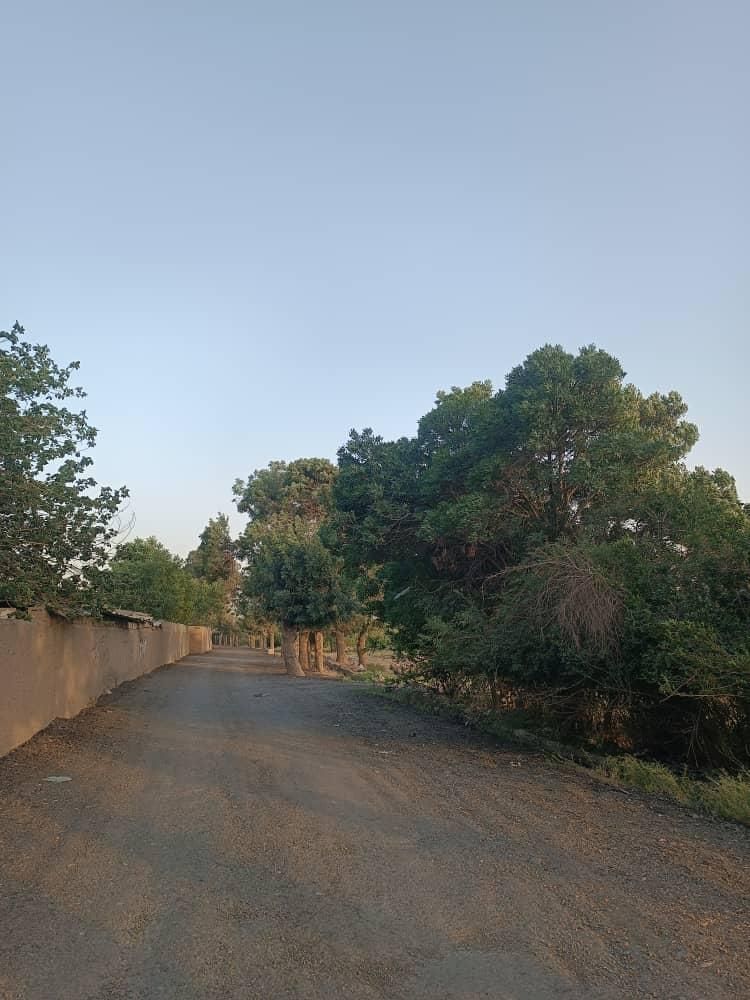 فروش زمین ۳۰۰ متری در روستای پلایین|فروش زمین و ملک کلنگی|تهران, کریم‌آباد|دیوار
