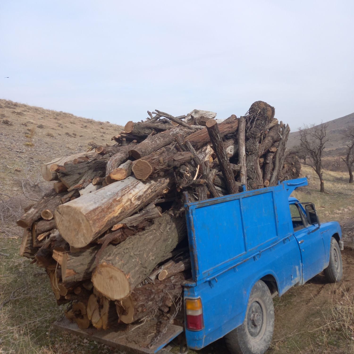 خریدانواع چوب ودرخت|خدمات باغبانی و درختکاری|همدان, |دیوار