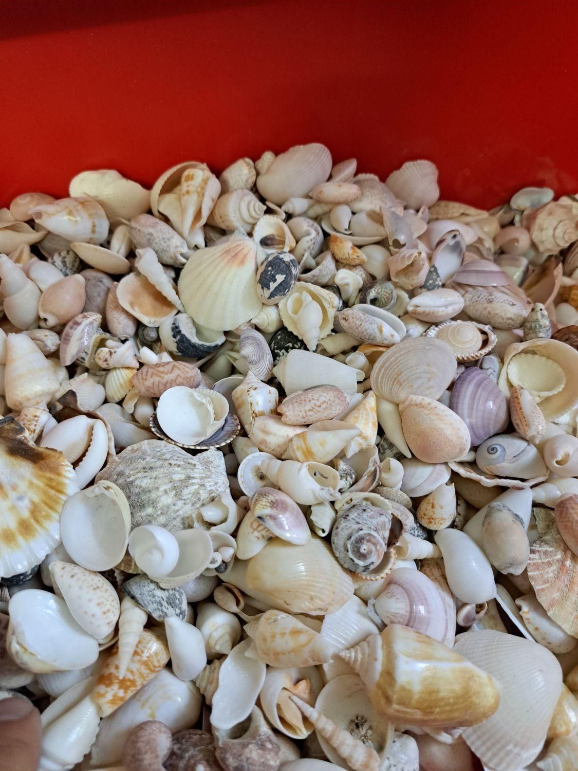 رزین رنگ سیلیکون موتور ساعت شن کریستال صدف قالب|خدمات پیشه و مهارت|مشهد, هنرور|دیوار