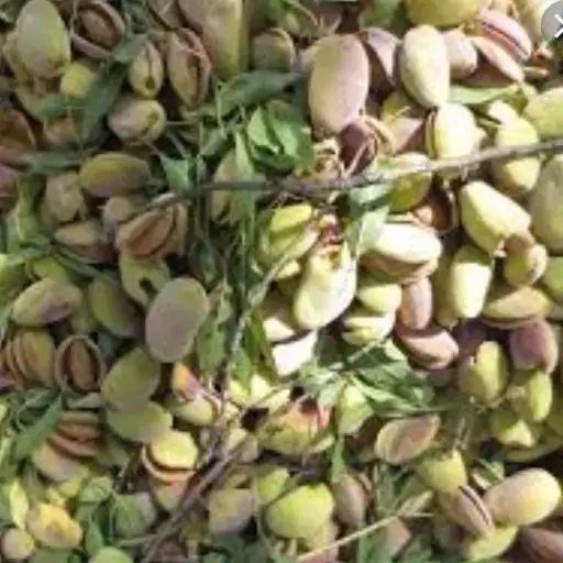 پوست بادام خشک|حیوانات مزرعه|اصفهان, بهارستان|دیوار