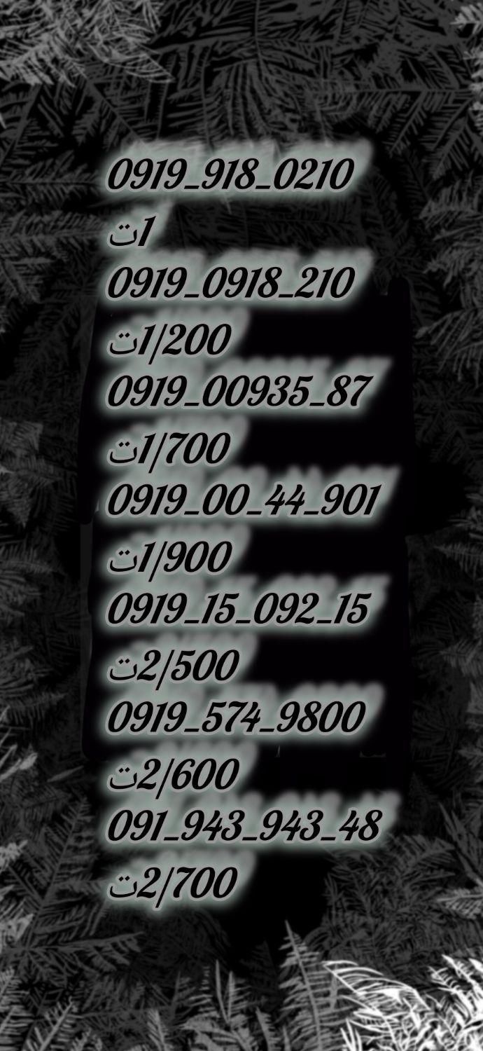 0919-110-40-30|سیم‌کارت|قم, شاه ابراهیم|دیوار