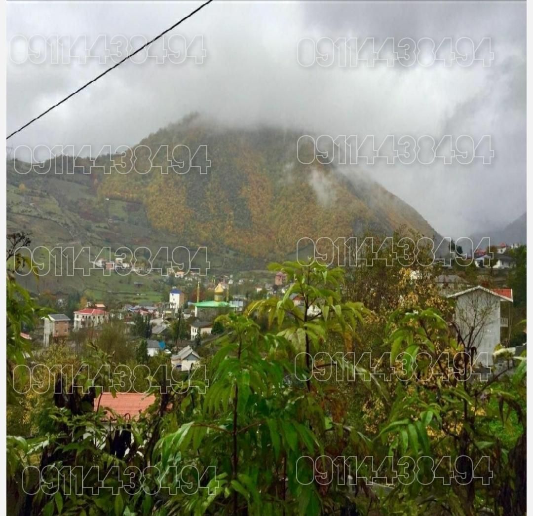 زمین بافت 100درصد مسکونی نزدیک ابگرم معدنی لاویج|فروش زمین و ملک کلنگی|نور, |دیوار
