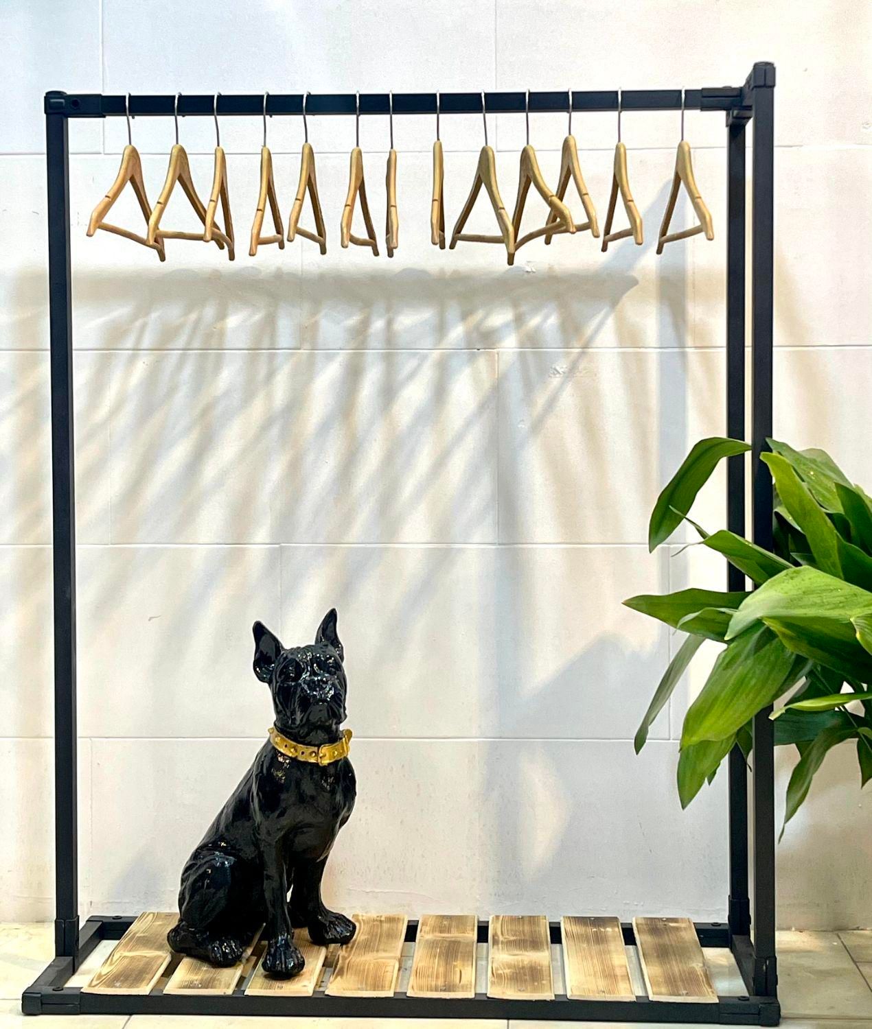 دنیای رگال و قفسه (الماسی)|فروشگاه و مغازه|کرج, شاهین‌ویلا|دیوار