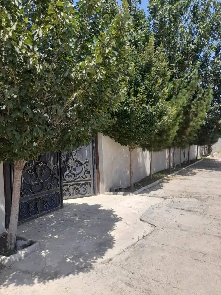 باغچه ۶۰۰ متری قدمت دار چهار دیواری پر درخت|فروش زمین و ملک کلنگی|هشتگرد, ایقربلاغ|دیوار