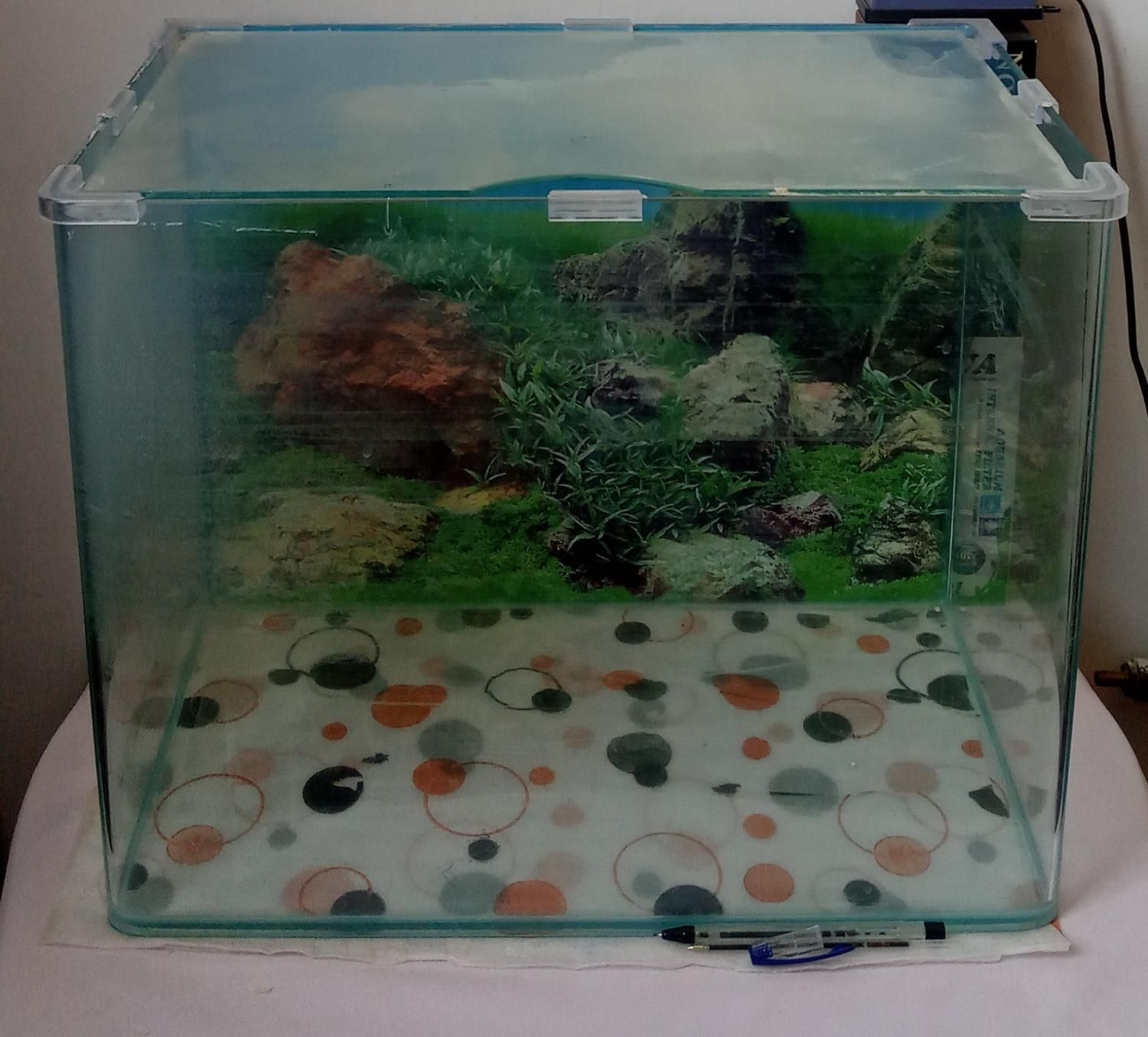 آکواریوم با تمامی لوازم|ماهی|بیرجند, |دیوار