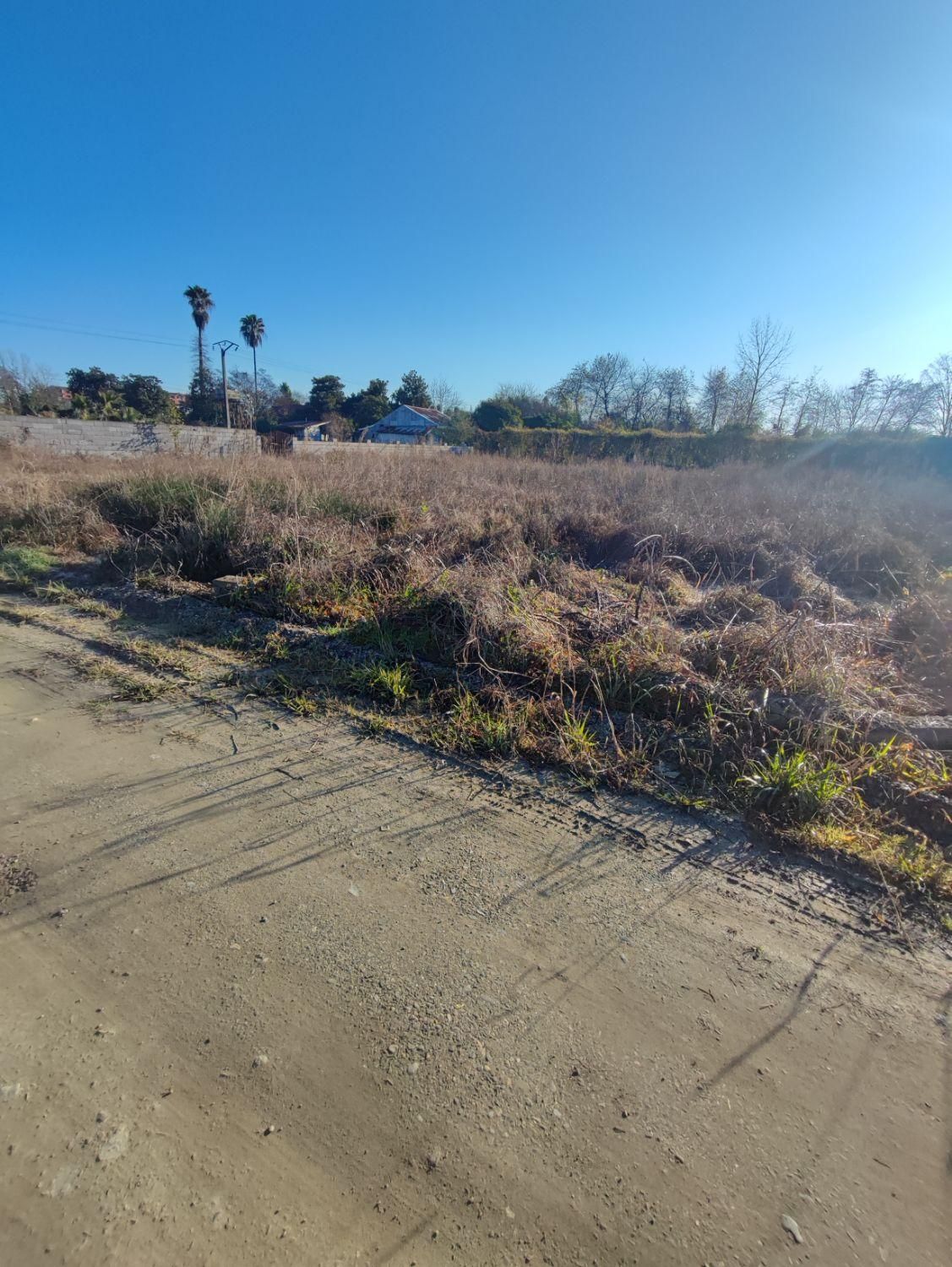 زمینی به مساحت 308 متر مسکونی|فروش زمین و ملک کلنگی|چابکسر, |دیوار