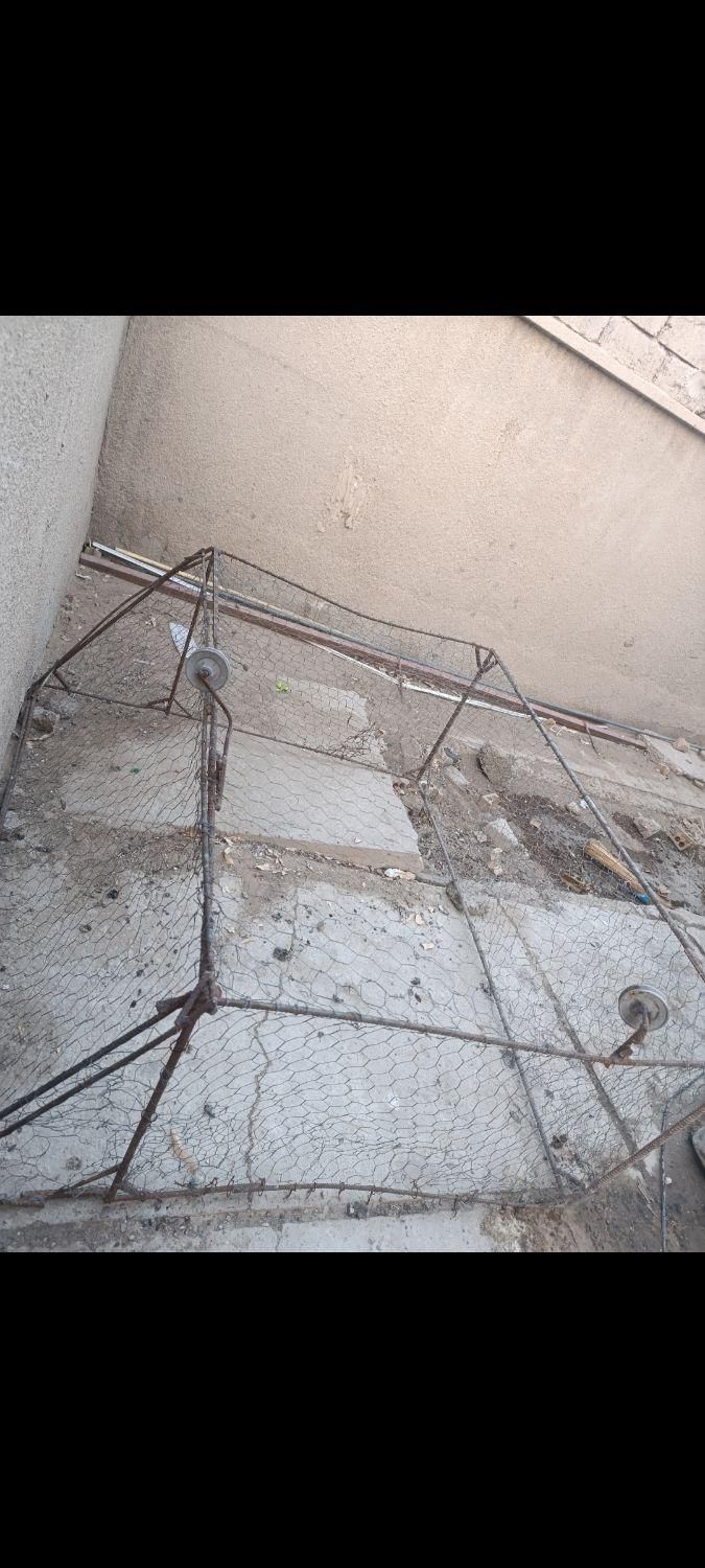 تور کبوتر سعی وسالم است|لوازم جانبی حیوانات|زهک, |دیوار