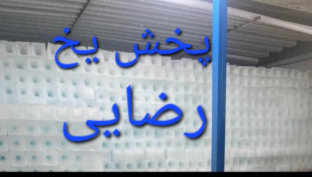 پخش یخ بهداشتی  یخ قالبی برای بتن|خوردنی و آشامیدنی|تهران, آشتیانی|دیوار