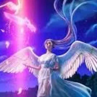 انجام فال و سرکتاب و فروش مهره سنگ و..|کتاب و مجله مذهبی|تهران, نازی‌آباد|دیوار